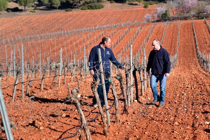 Bodegas Coronado