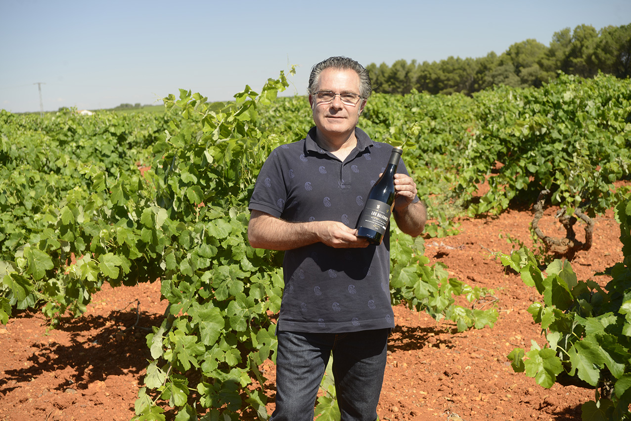 Bodegas Vega Tolosa