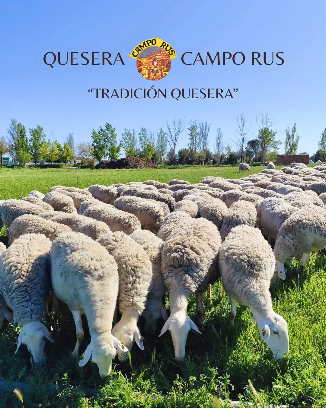 Quesera Campo Rus