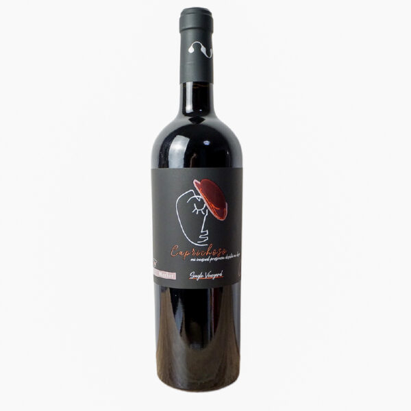 Charcón Merlot CAPRICHOSO.JPG